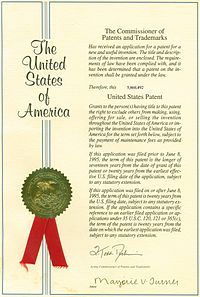 american patent document